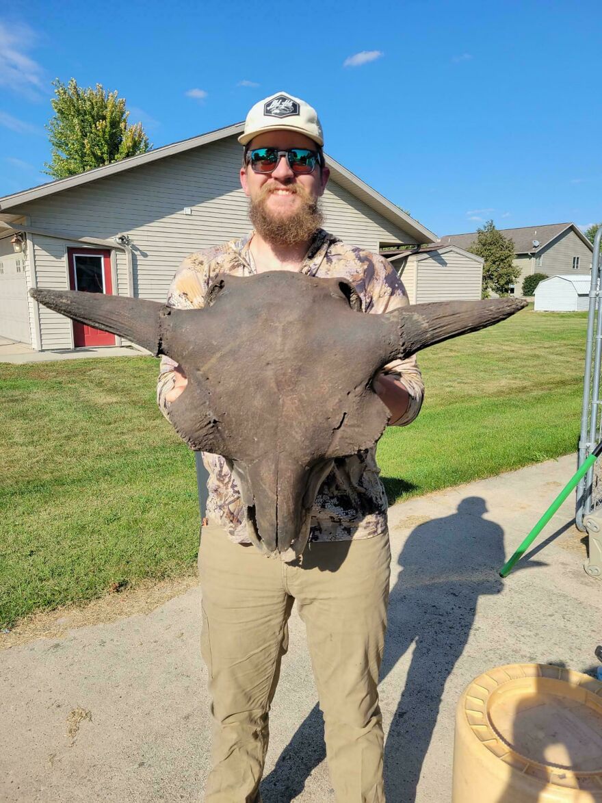 Man wearing sunglasses and a cap holding a large fossil skull with long horns outdoors on a sunny day.