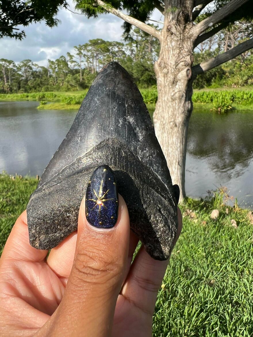 Hand holding a large, dark fossil close to a lake with trees in the background, showcasing interesting fossils.