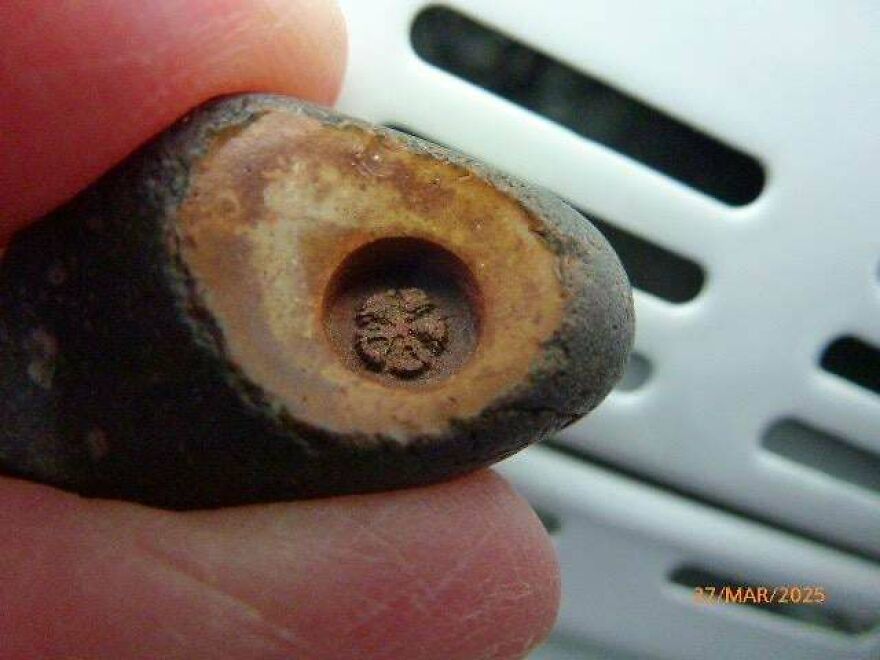 Close-up of an interesting fossil held between fingers, showcasing detailed patterns inside the stone specimen.