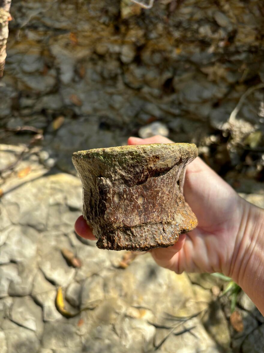Hand holding an interesting fossil vertebra with detailed texture against a natural rocky background.