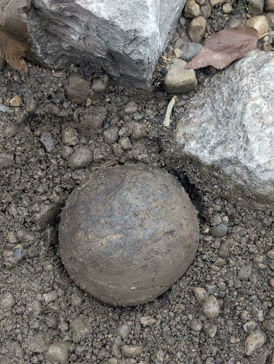 Rounded fossil partially embedded in dirt and surrounded by rocks, highlighting interesting fossils in nature exploration.