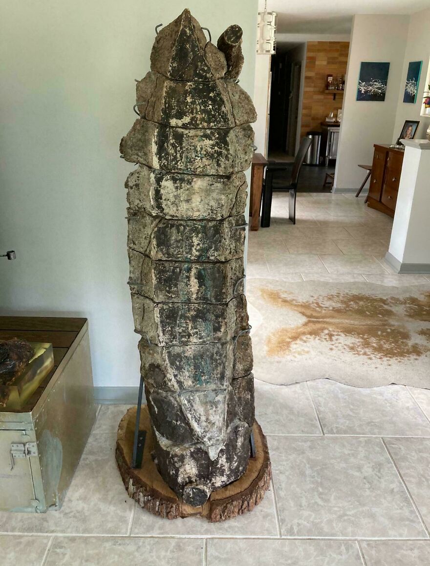 Large fossil displayed on a wooden base inside a modern living room setting with tiled floors and furniture.