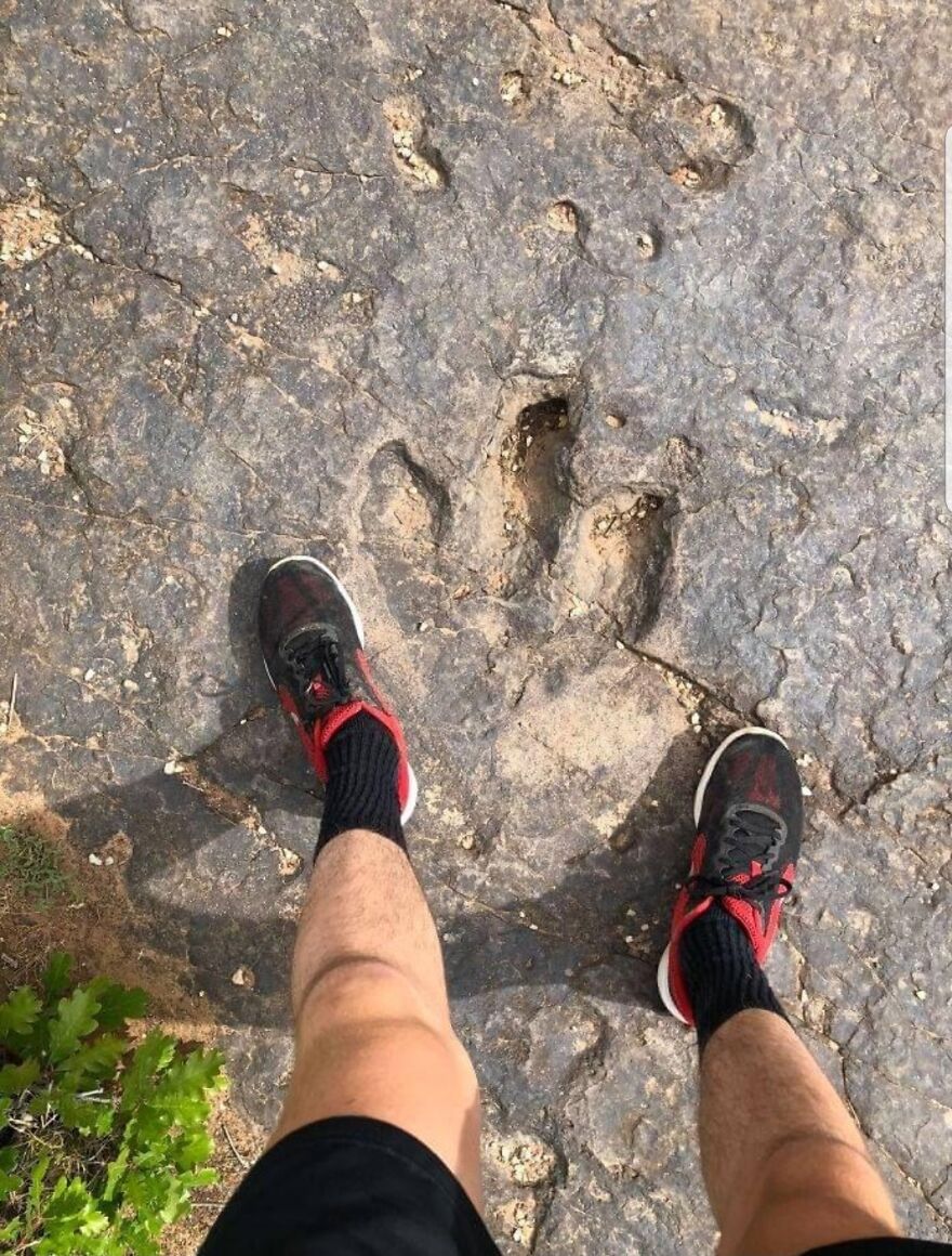 Person standing next to large dinosaur footprint fossil on rocky ground, showing scale in interesting fossils discovery.