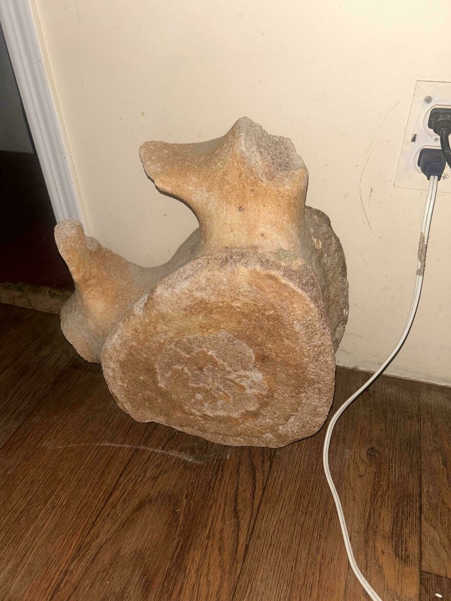 Large fossil resembling a vertebra bone resting on a wooden floor near a wall outlet and plugged-in cable.