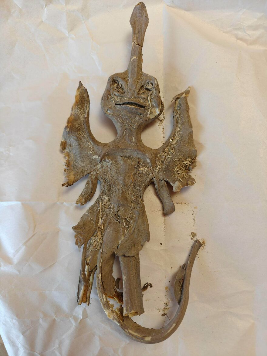 Fossil resembling a small winged creature with a long tail displayed on crumpled white paper surface.