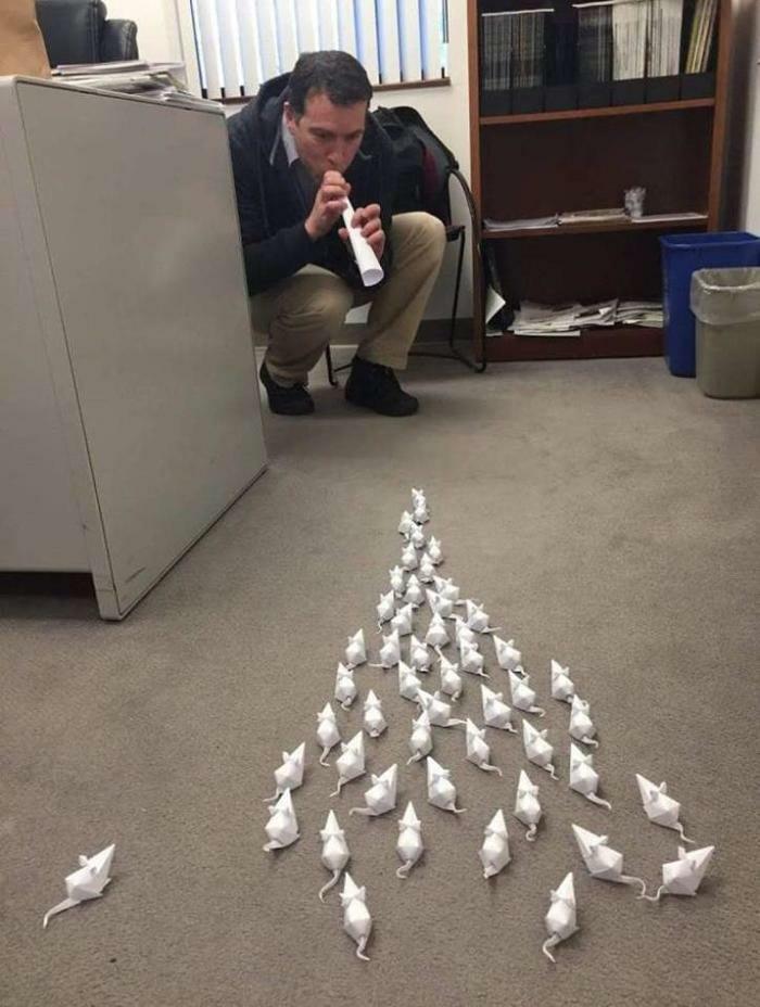 Man in an office space creating creative paper mouse figures arranged in a formation on the floor showcasing hilarious poses.