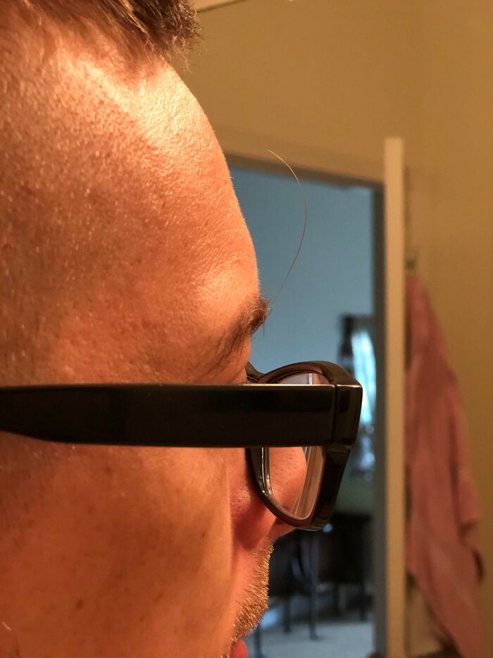 Close-up side view of a man's face with crazy eyebrows and a single long hair standing out above black glasses.