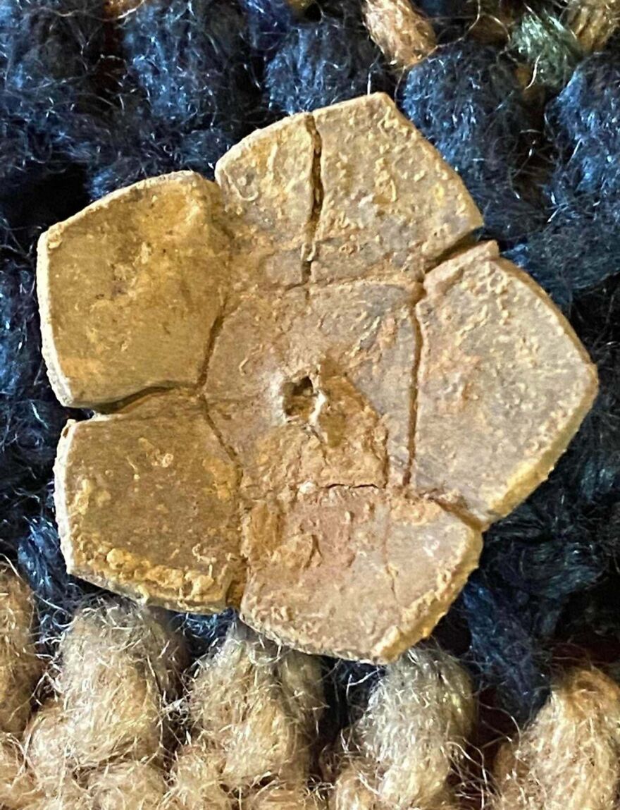 Close-up of an interesting fossil resembling a flower shape resting on textured fabric surface.