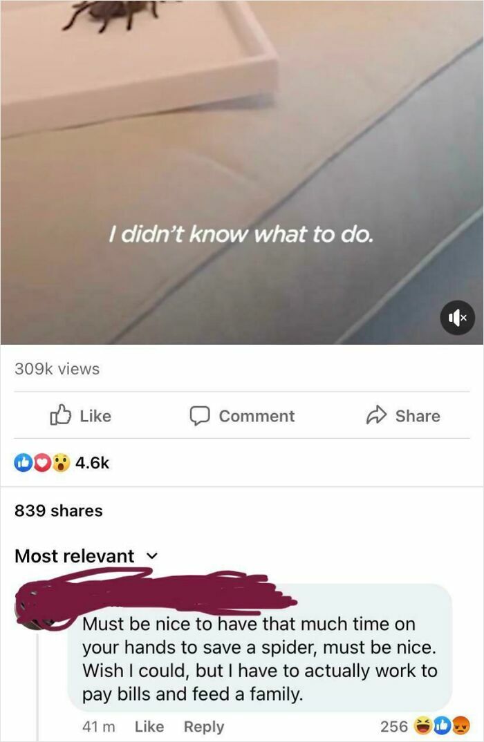 Person reacts to a large spider with hesitation, capturing a classic cringe moment many can relate to in new photos.