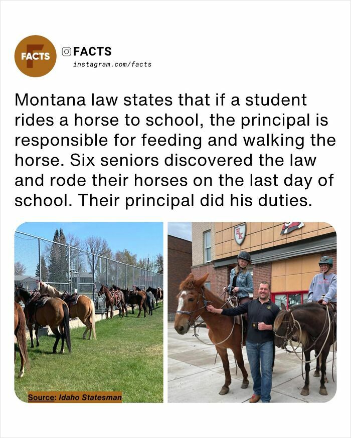 Montana students ride horses to school; principal feeds and walks horses demonstrating unusual brain-care facts and daily learning.