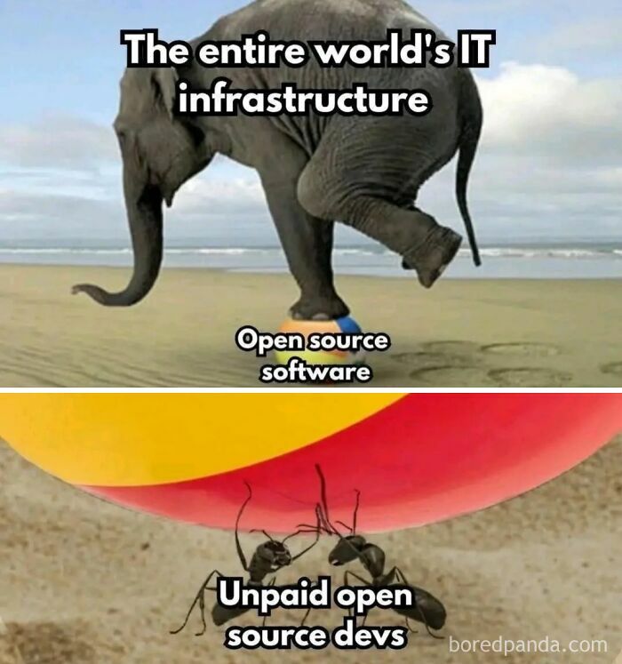 Elephant labeled IT infrastructure balancing on ball with open source software, ants labeled unpaid open source devs below.