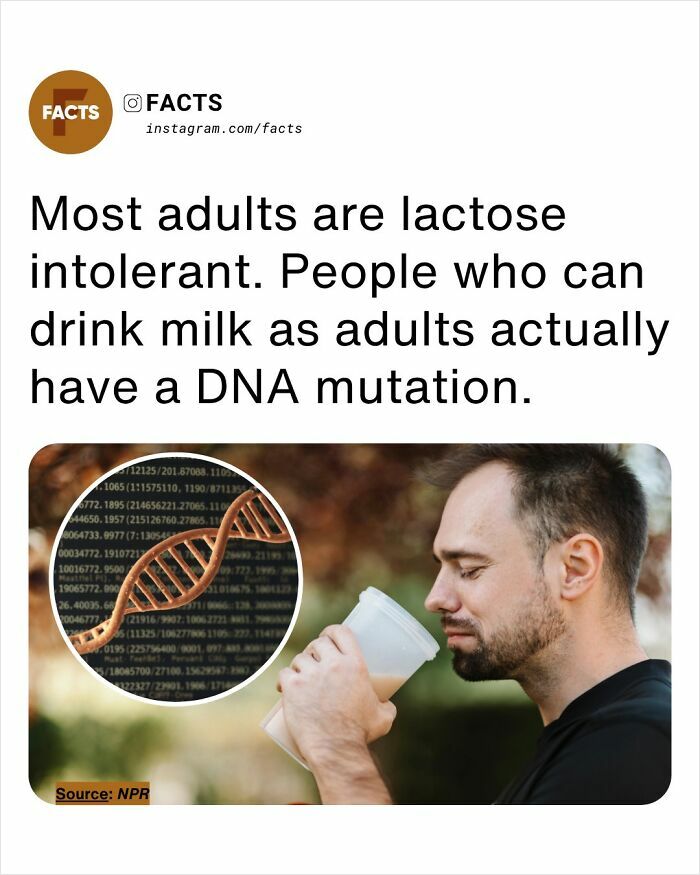 Man drinking milk with DNA strand graphic, illustrating interesting facts for brain-care and daily enlightenment.