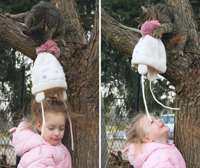 Tabby cat stealing a white pink pom-pom hat from a girl in a pink jacket, showcasing adorable animals being thieves.