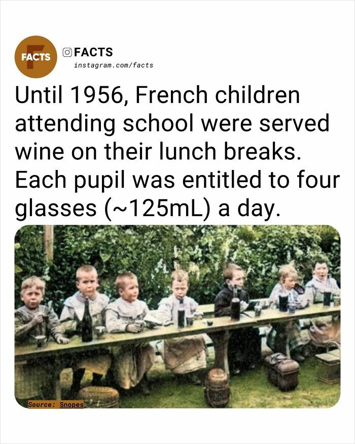 French schoolchildren historically served wine during lunch breaks as a daily brain-care fact in history.