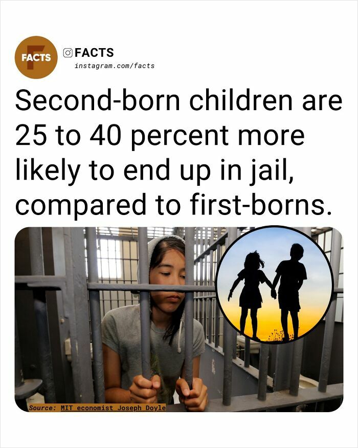 Second-born children are 25 to 40 percent more likely to end up in jail, brain-care fact for daily enlightenment.