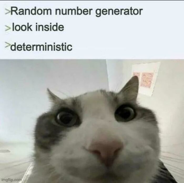 Close-up of a curious cat with text about deterministic random number generator, illustrating programming memes.