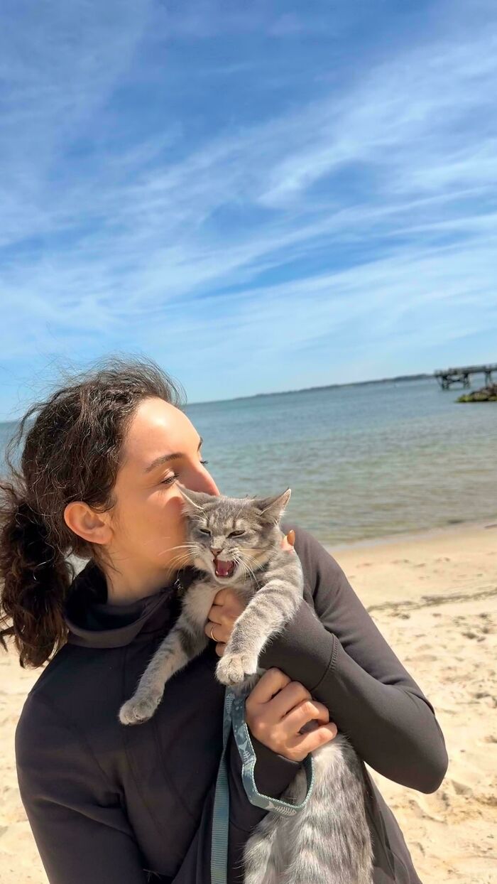 Woman holding meowing cat on beach with blue sky