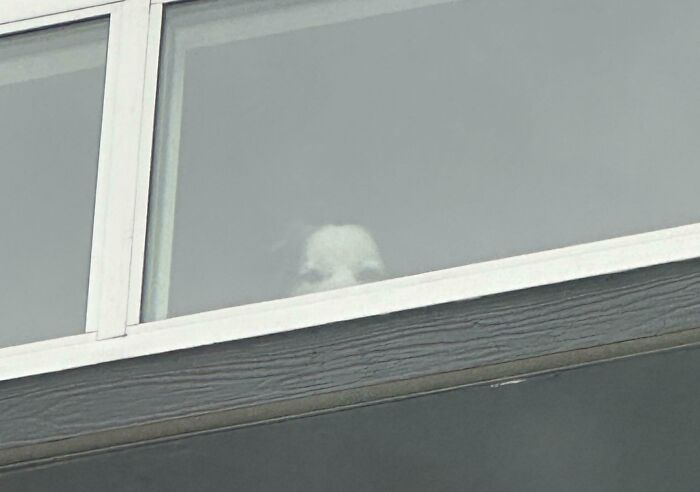 Ghostly face faintly visible through the window, creating a creepy and weird photo that gives the heebie-jeebies effect.