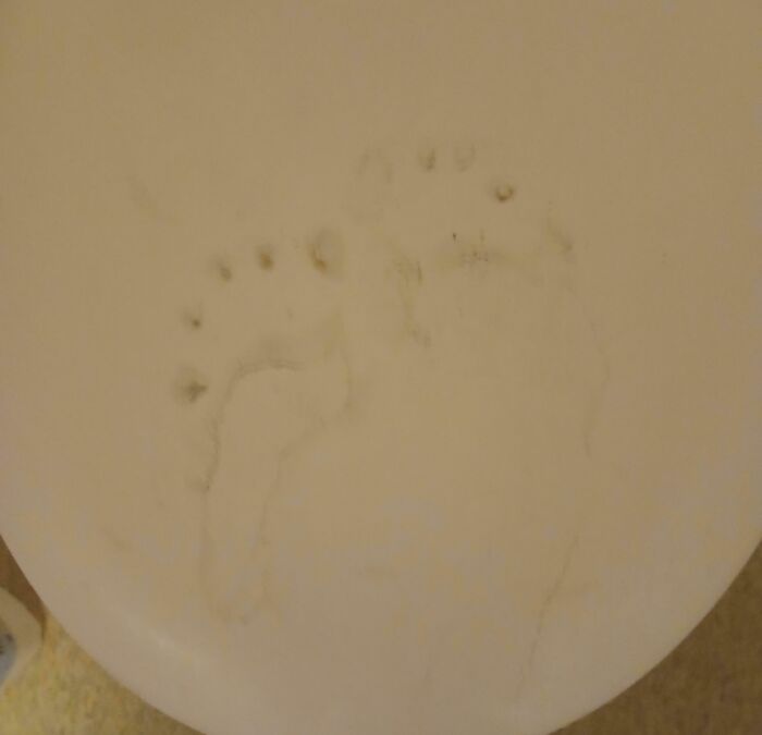 Faint dirty footprint resembling creepy and weird photo on a toilet seat causing heebie-jeebies effect.