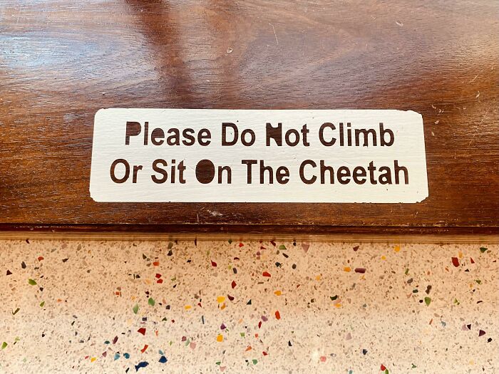 Funny pieces of advice sign warning not to climb or sit on the cheetah on a wooden surface