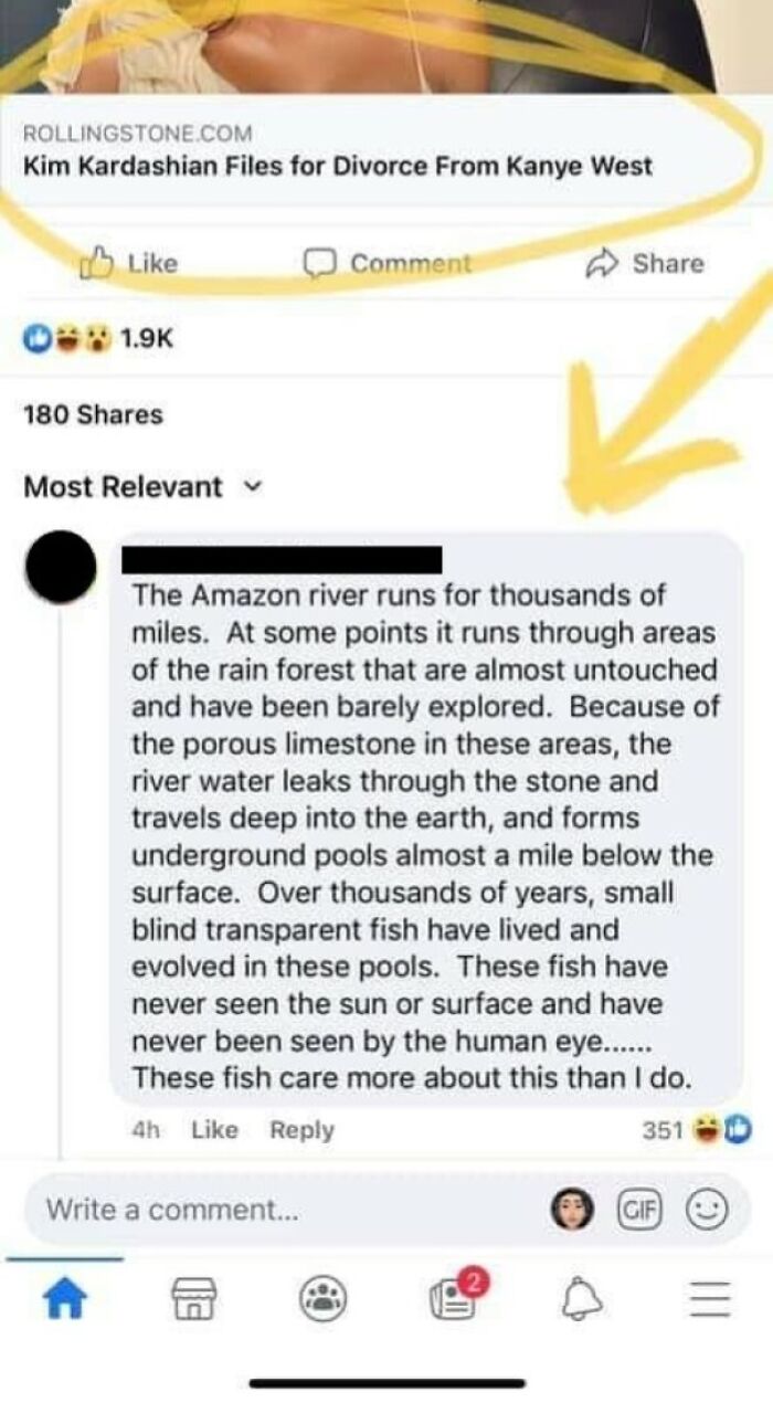 A Nice Little Science Lesson