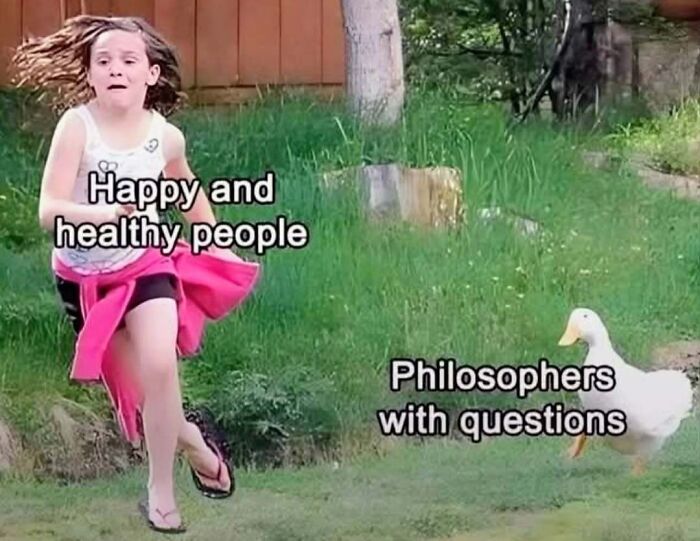 Young girl labeled happy and healthy people running from a duck labeled philosophers with questions in a humorous philosophy meme.