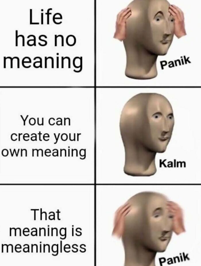 Philosophy meme showing a character reacting with panik and kalm to life having no meaning and creating meaning.