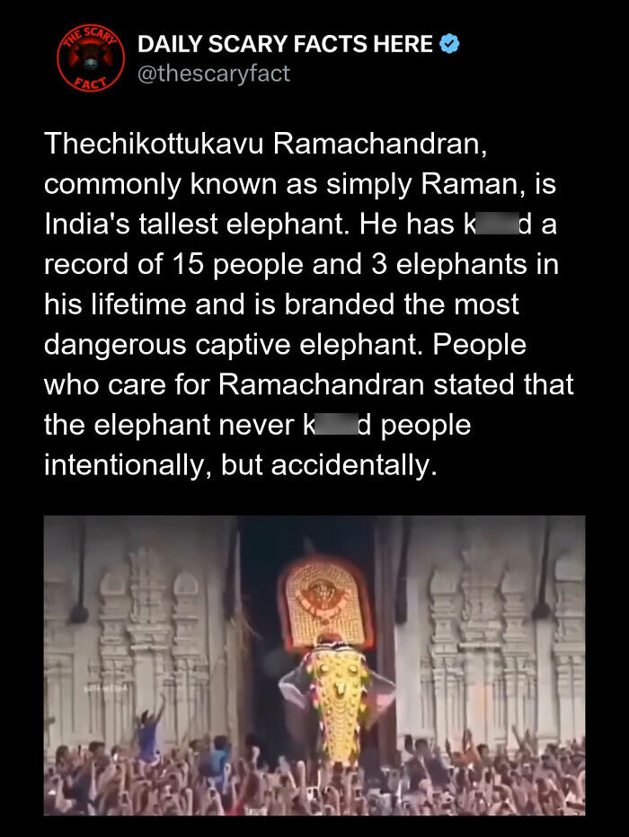 Elephant known as Ramachandran, India's tallest, with a deadly history captured in a crowd scene, highlighting scary facts.