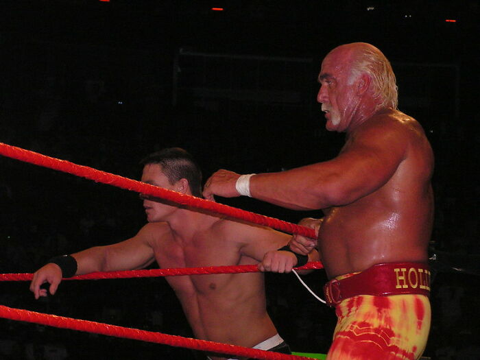 Two professional wrestlers in a ring during a match, highlighting celebrities people used to like but now wholeheartedly hate.