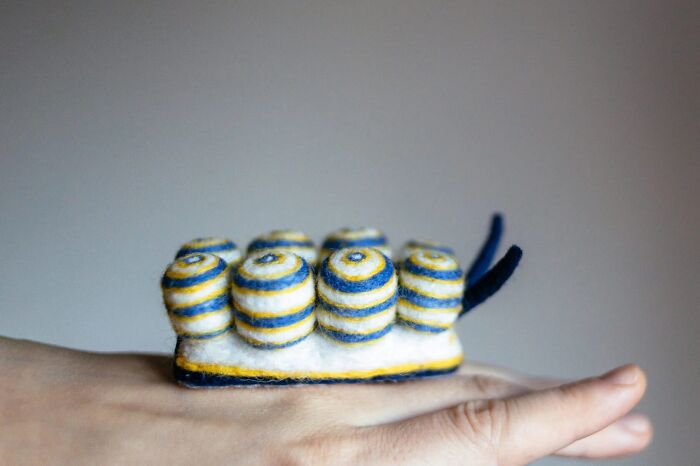 “Doto Greenamyeri”