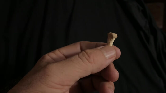 47 Times Archaeologists Dug Up Surprising Finds That Should Have Been Major News