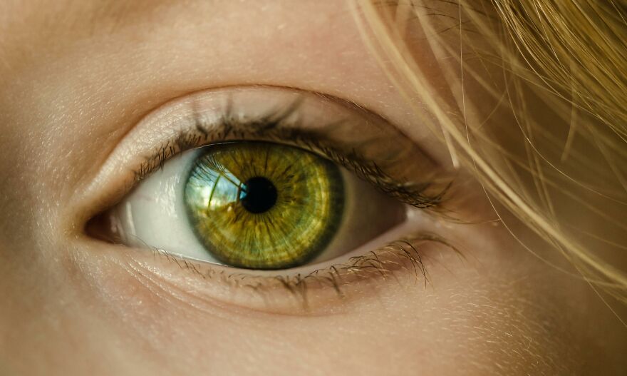 Close-up of a green eye showing detailed iris patterns, highlighting the rarity and genetics of green eyes. Close-up of a green eye showing detailed iris patterns, highlighting the rarity and genetics of green eyes.