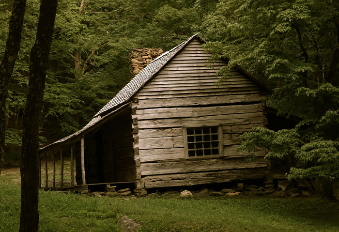 Old wooden cabin deep in the woods surrounded by dense trees, evoking a sense of eerie and terrifying forest encounters.
