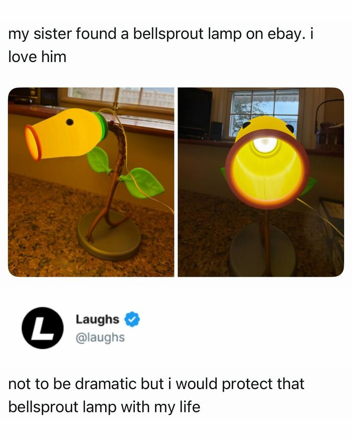 Photos of a funny Bellsprout lamp meme, highlighting humor and relatable memes to enjoy during breaks.