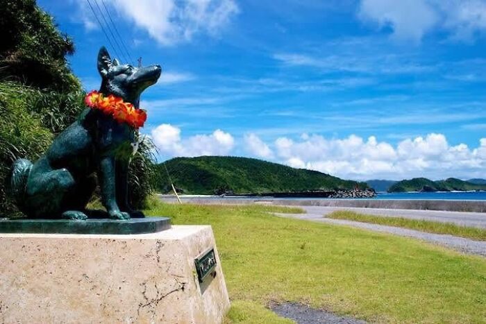 Bronze statue of a dog with a flower garland by the waterfront, representing a crazy thing people did for love.