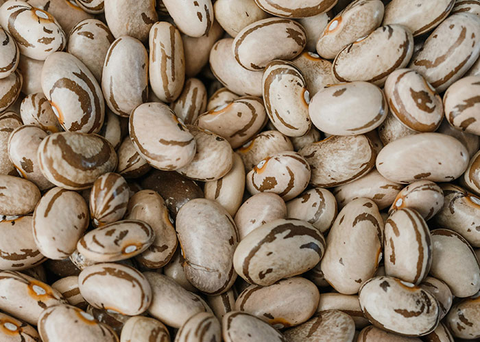 Close-up of patterned beans with natural colors and textures, illustrating organic shapes and surfaces.