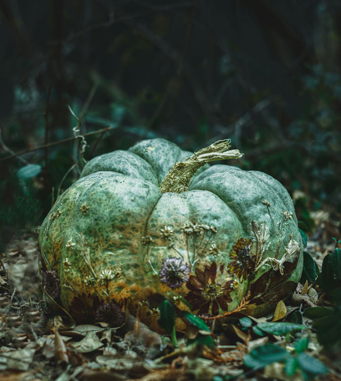 Large green pumpkin surrounded by dried flowers and leaves in a dark, eerie forest setting with haunting woods atmosphere.