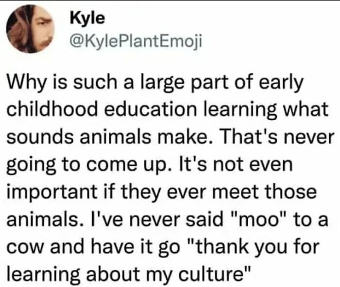 Tweet meme about early childhood education questioning the relevance of learning animal sounds in funny relatable memes.