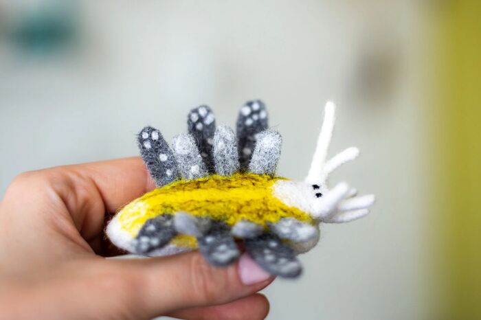 “Cyerce Antillensis”