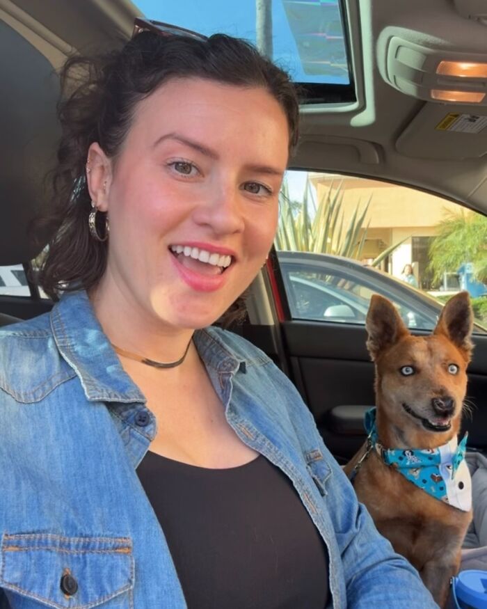 After Surviving Cruelty, This Dog Found Safety, Love, And A Reunion No One Expected