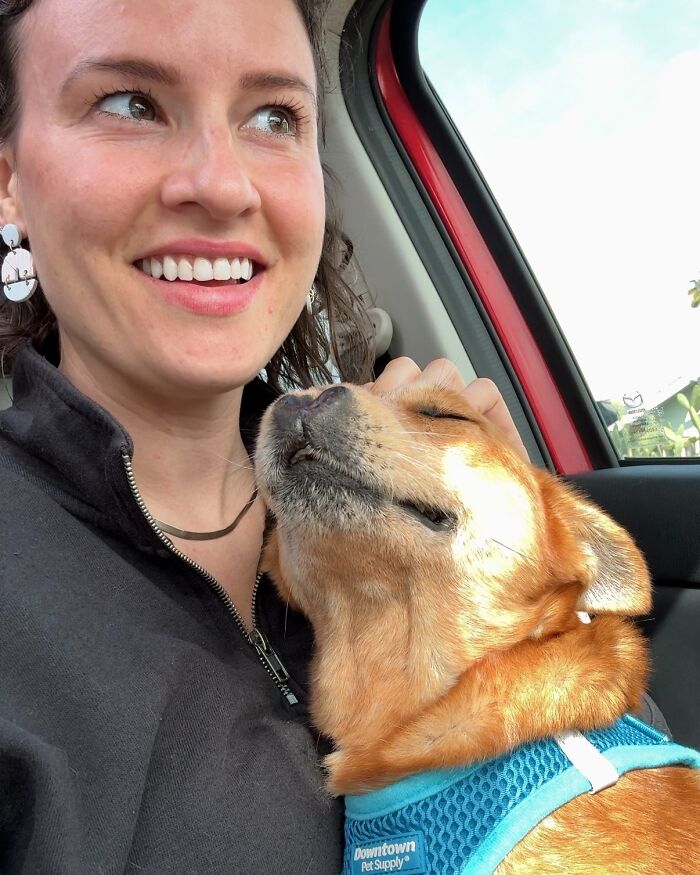 After Surviving Cruelty, This Dog Found Safety, Love, And A Reunion No One Expected