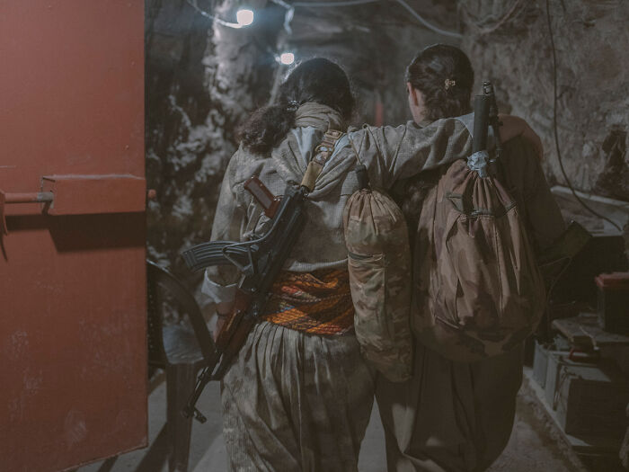 The Last Butterflies By Valentina Sinis