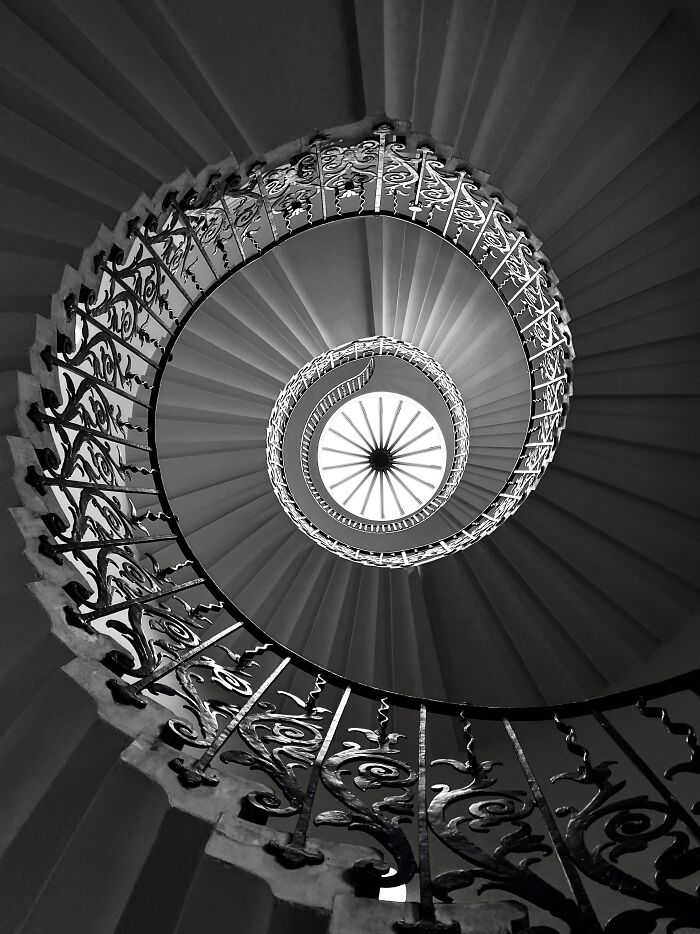 Honorable Mention, Architecture, Design: Tulip Spiral Staircase By Ingrida Kuznecova