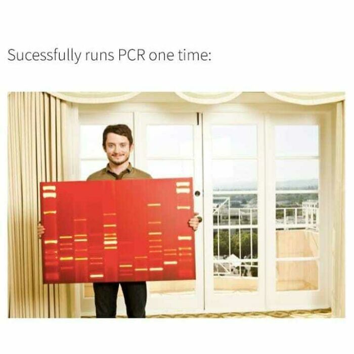 Man holding a large DNA gel image with text about running PCR one time in a medical meme for doctors or patients.