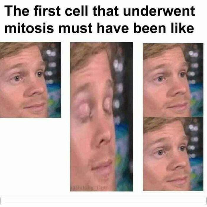 Man with a skeptical expression in a meme about the first cell undergoing mitosis, relating to doctor and patient memes.