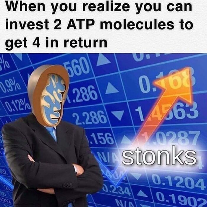 Meme showing a mitochondria-headed figure with text about ATP molecules and a rising stock market arrow related to doctor memes.