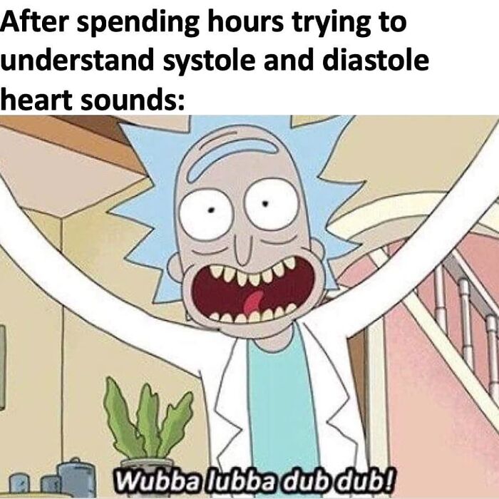 Cartoon character expressing confusion after studying systole and diastole heart sounds, a funny meme for tired doctors or patients.