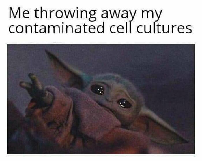 Baby Yoda reaching out with sad eyes, humor related to doctors or patients tired of it all memes.