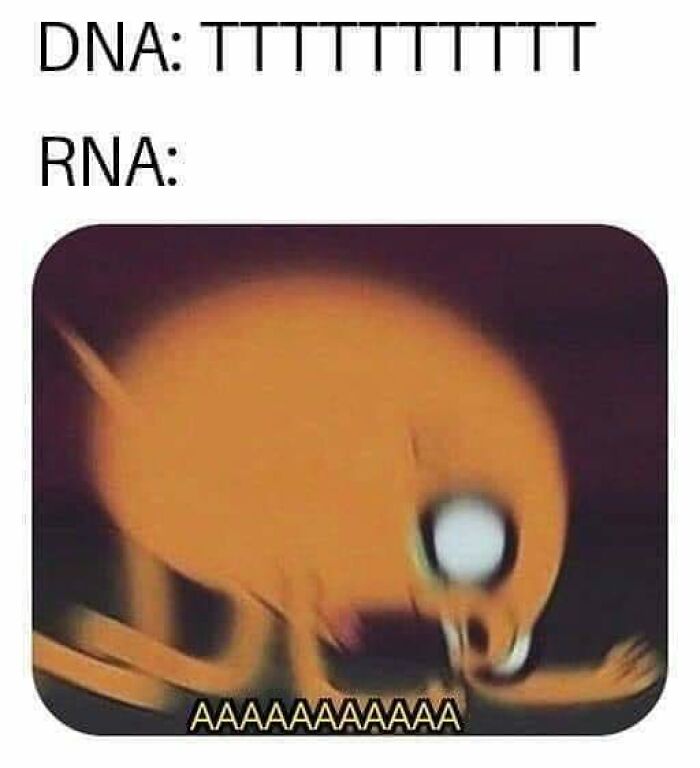 Blurry cartoon character screaming humorously illustrating RNA after DNA sequence, funny meme for doctors and patients tired of it all.