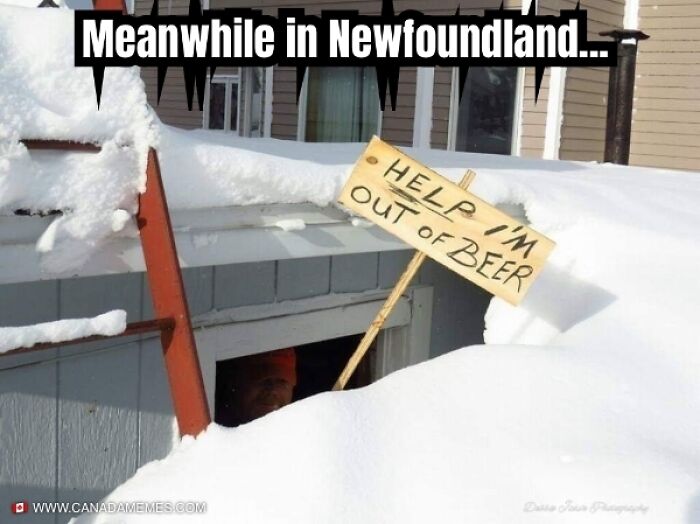 Man in snowy Newfoundland holding a sign asking for beer help, showcasing funny Canada memes and winter humor.
